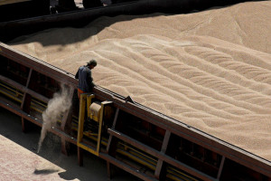 Путин назвал возможные пути вывоза зерна с Украины