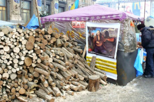На Украине запретили экспортировать дрова