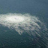 «Северные потоки» взорвали боевые пловцы из США